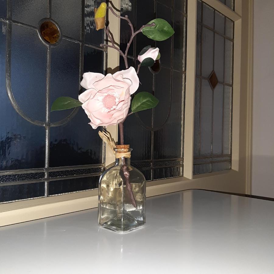 Apartman U Javoru Varnsdorf Zewnętrze zdjęcie