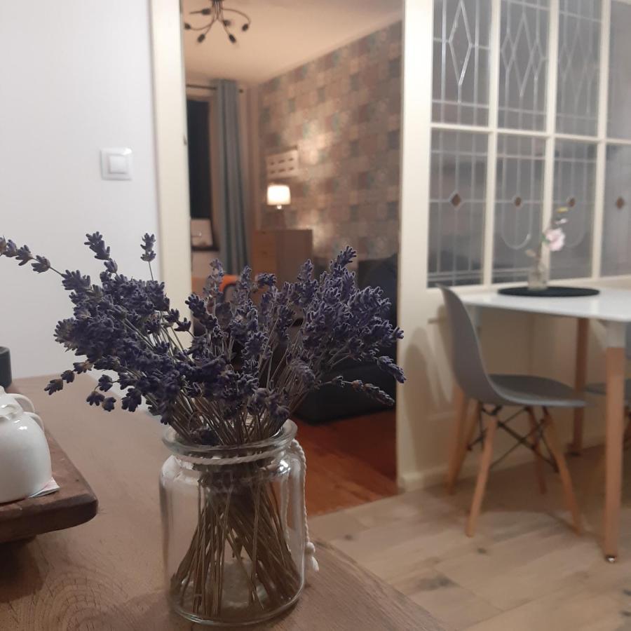 Apartman U Javoru Varnsdorf Zewnętrze zdjęcie